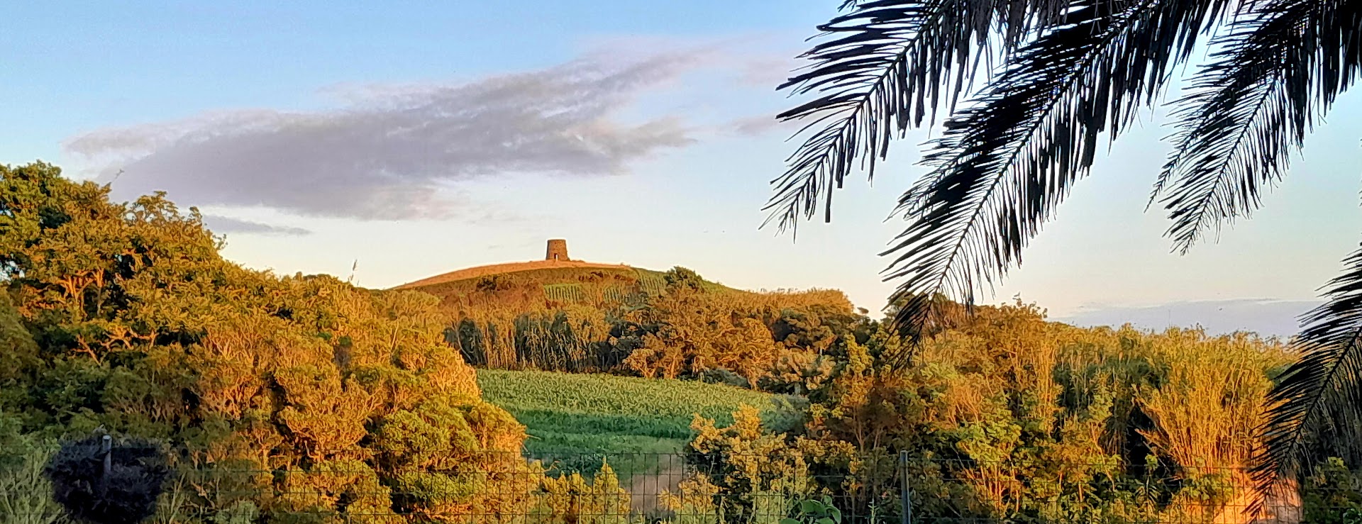 Novovento Coliving Azores photo
