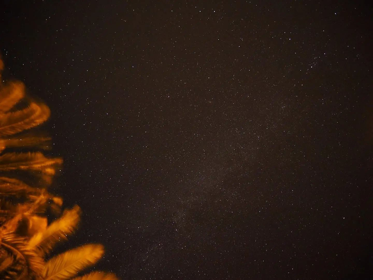 Novovento Coliving Azores photo