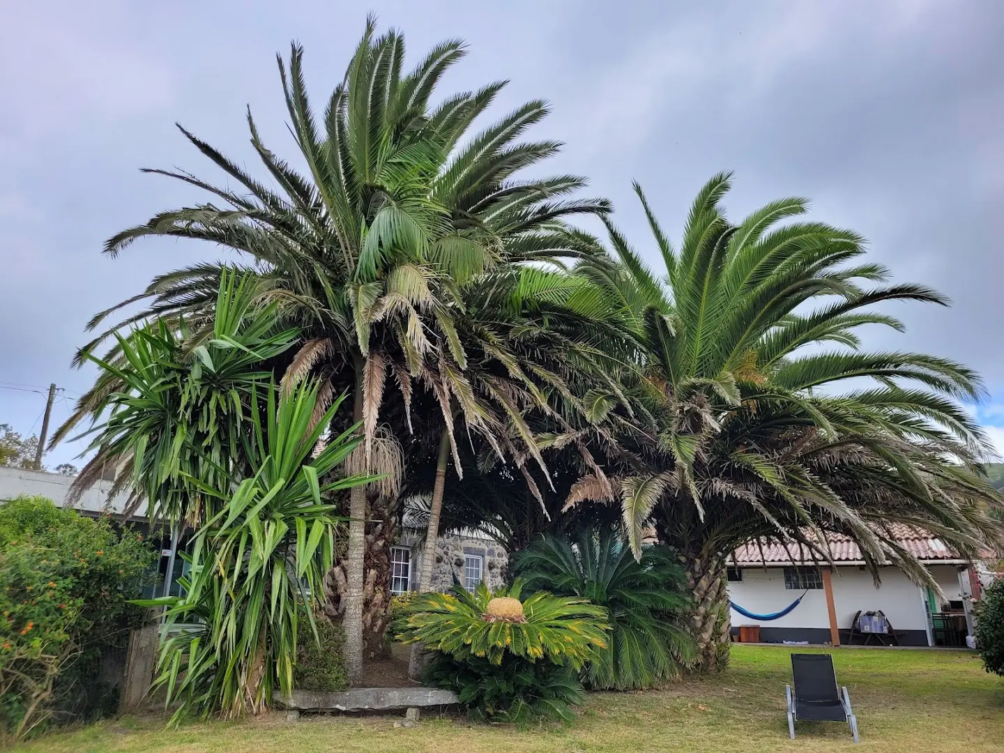 Novovento Coliving Azores photo