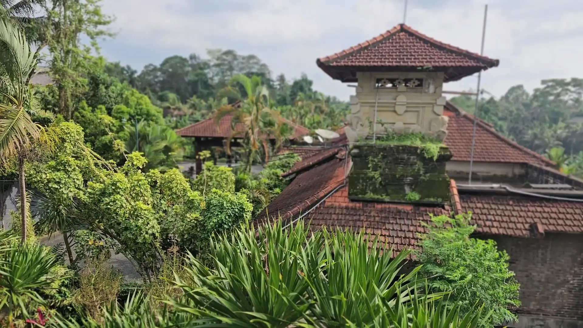 Outpost Ubud Coworking photo