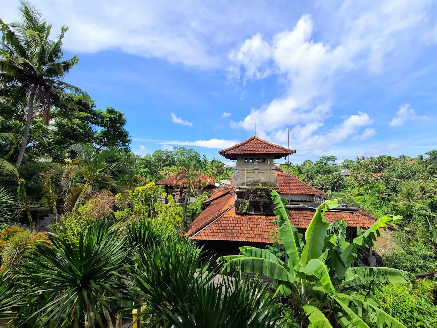 Outpost Ubud Coworking photo