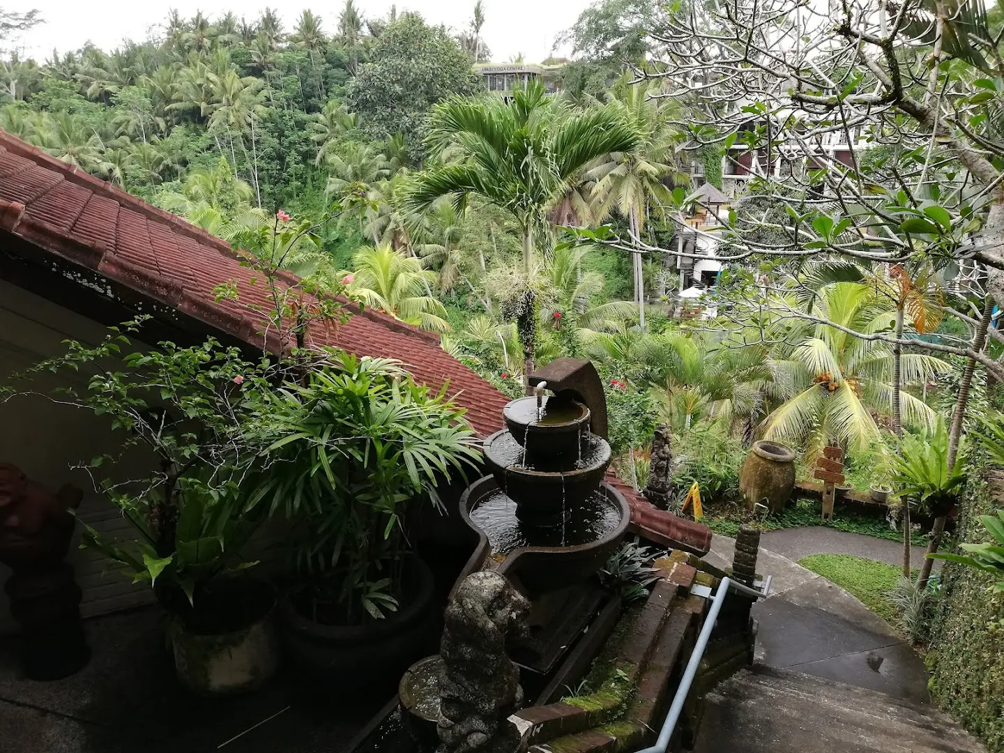 Outpost Ubud Coworking photo