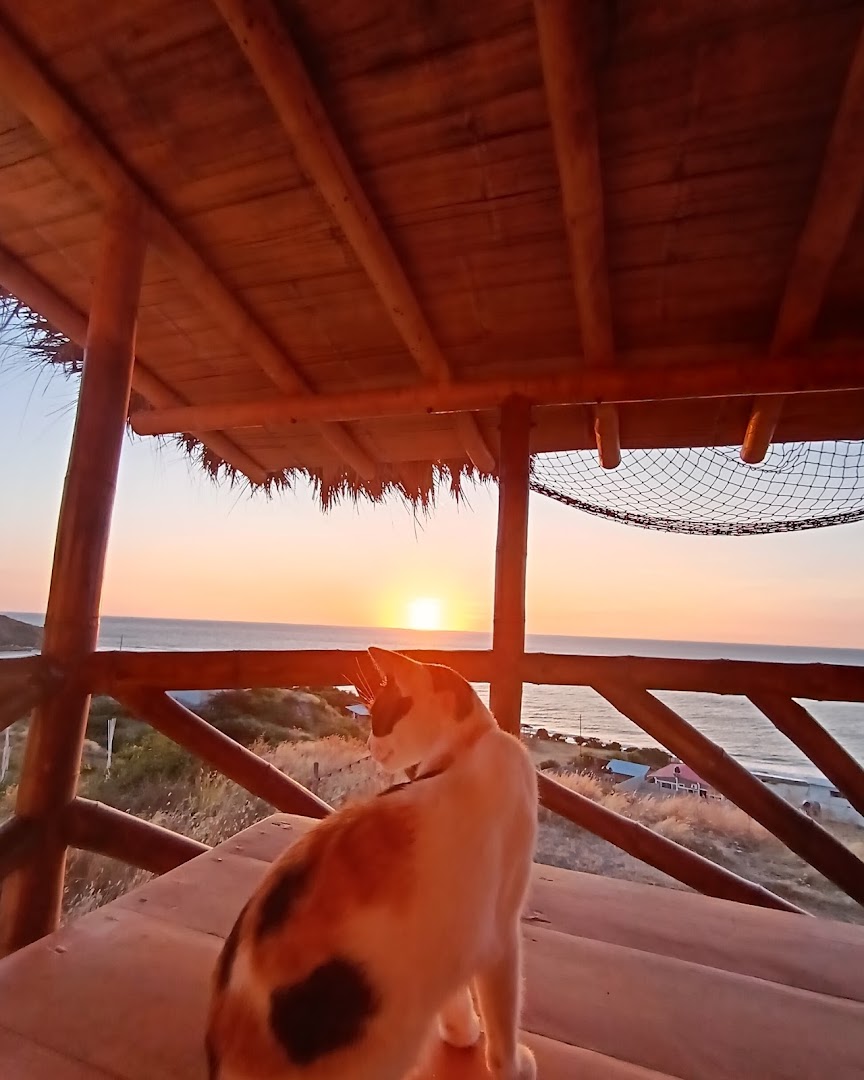 Punta La Barca (Hostal cabaña Punta la Barca) photo