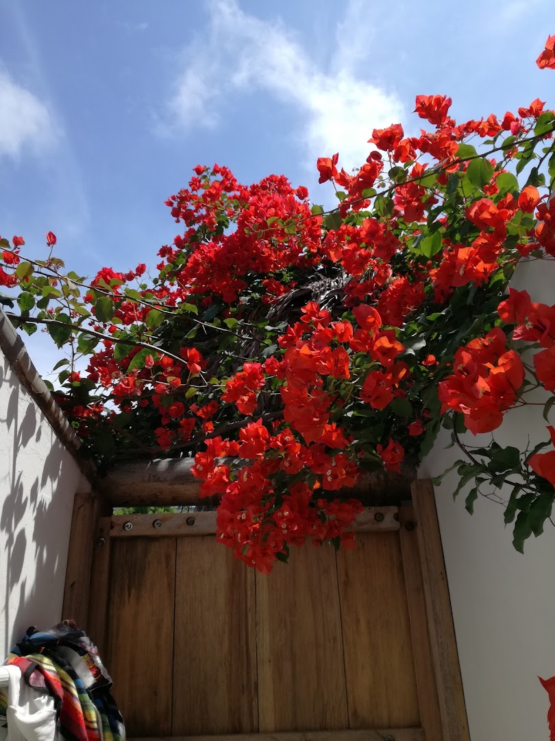 Punta La Barca (Hostal cabaña Punta la Barca) photo