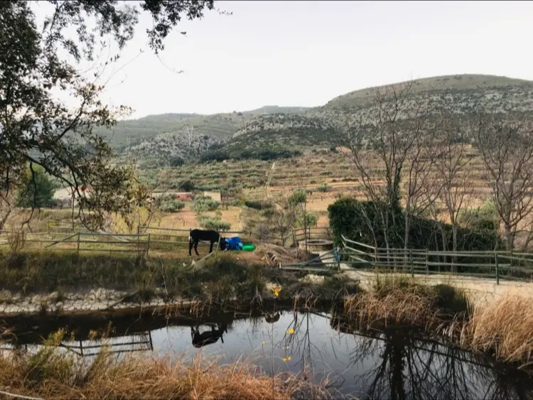 Ruralco Coliving photo