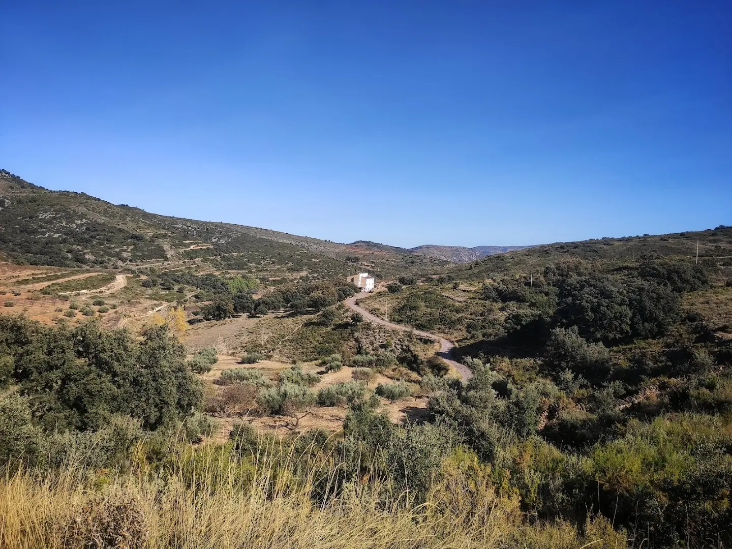 Ruralco Coliving photo