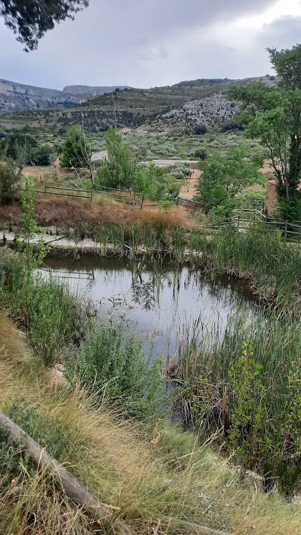 Ruralco Coliving photo