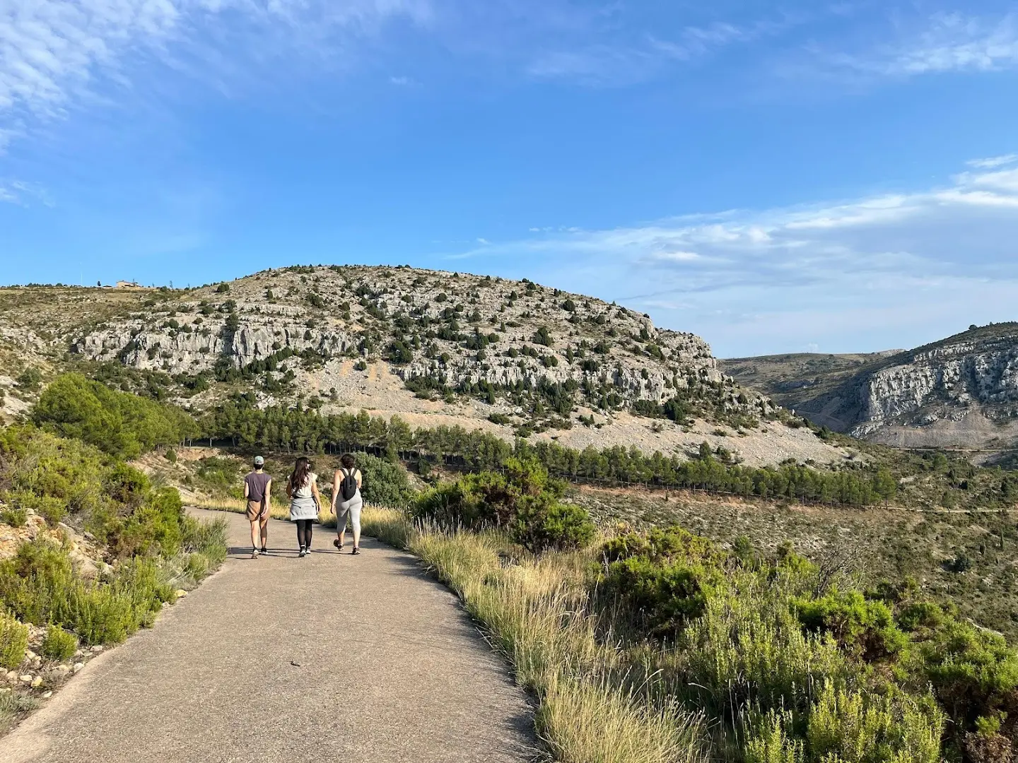 Ruralco Coliving photo