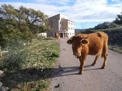 Ruralco Coliving photo