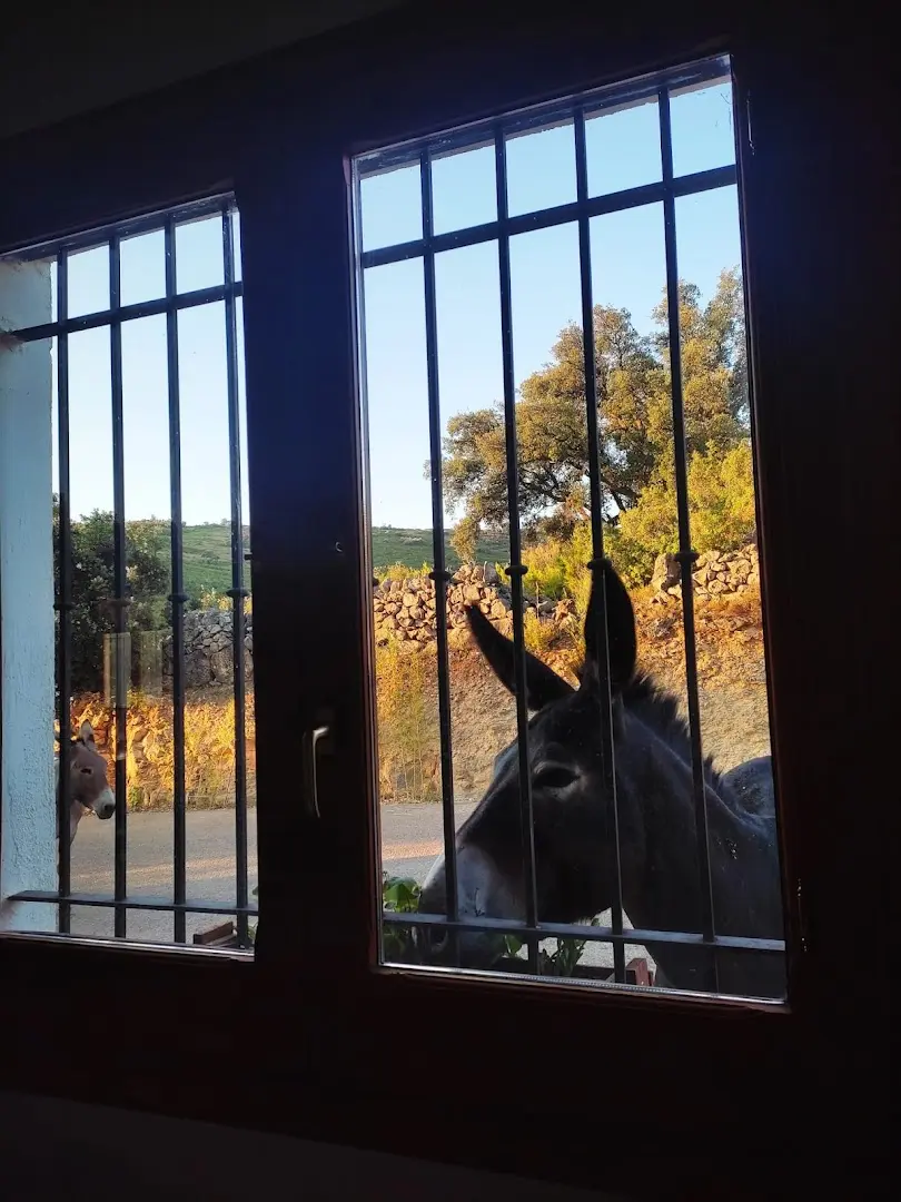 Ruralco Coliving photo