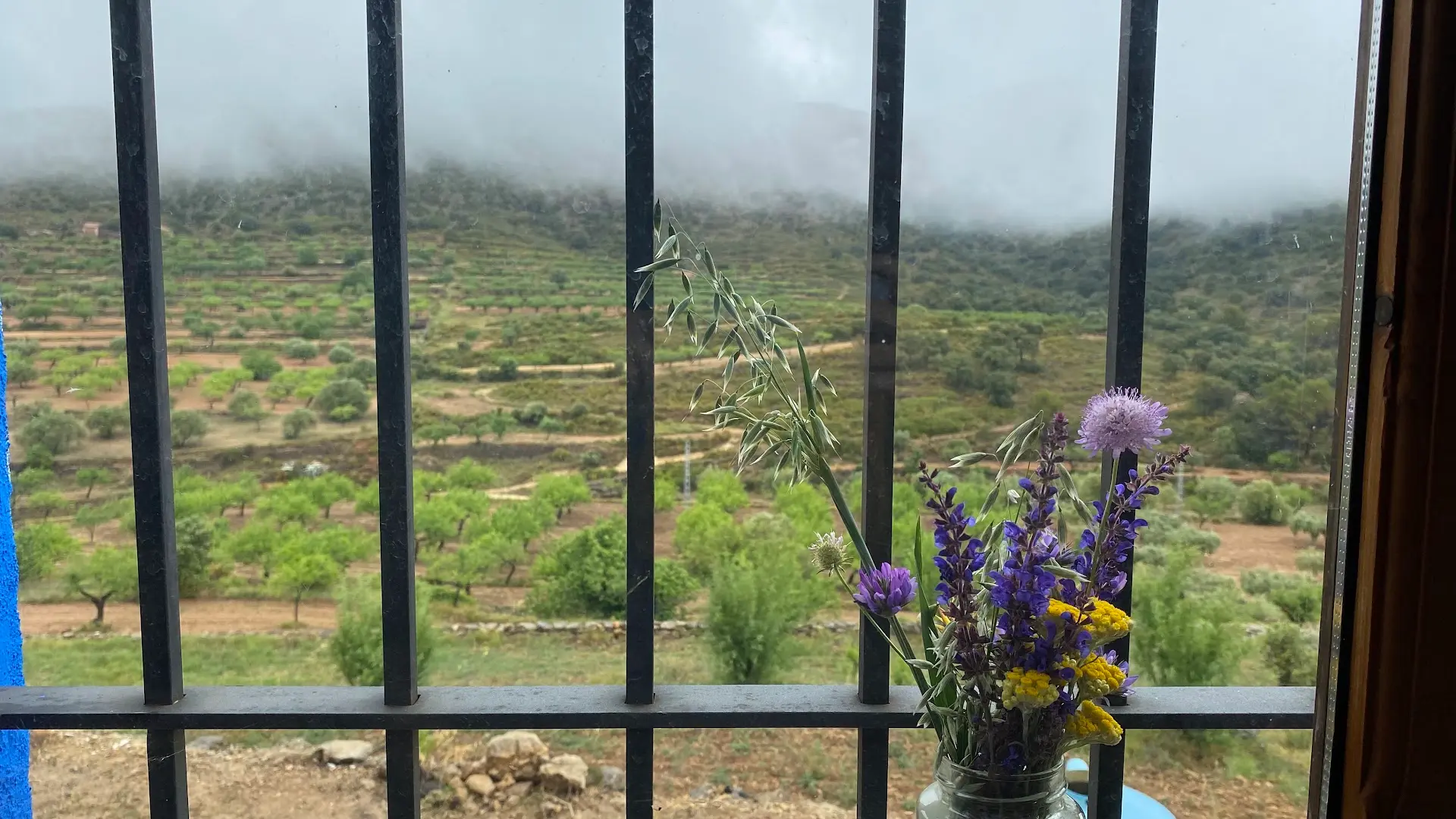 Ruralco Coliving photo