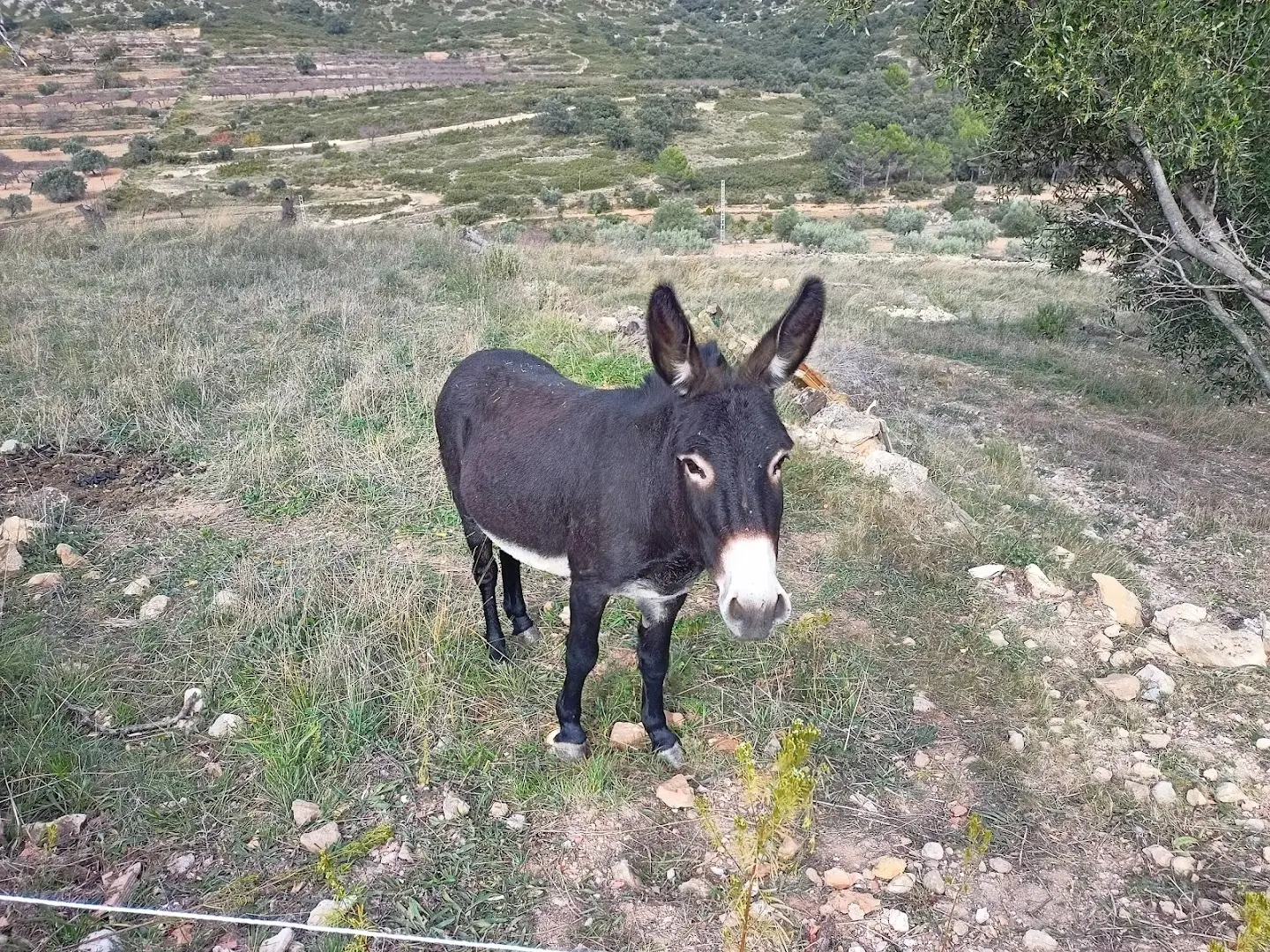 Ruralco Coliving photo