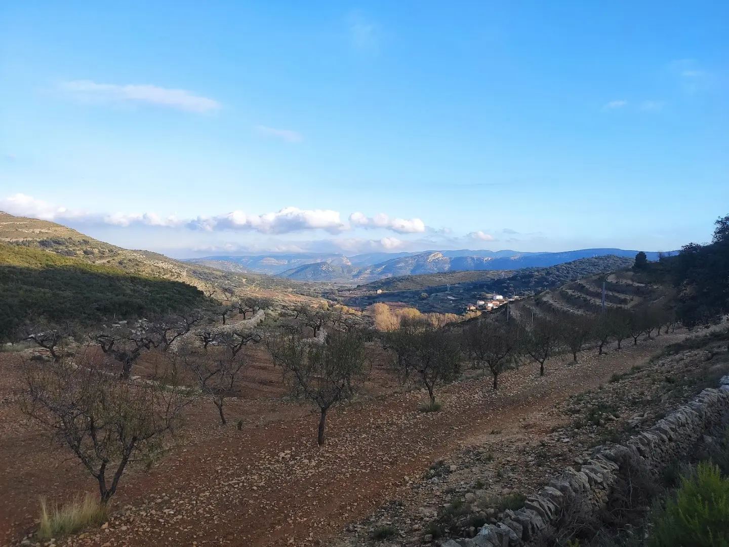 Ruralco Coliving photo