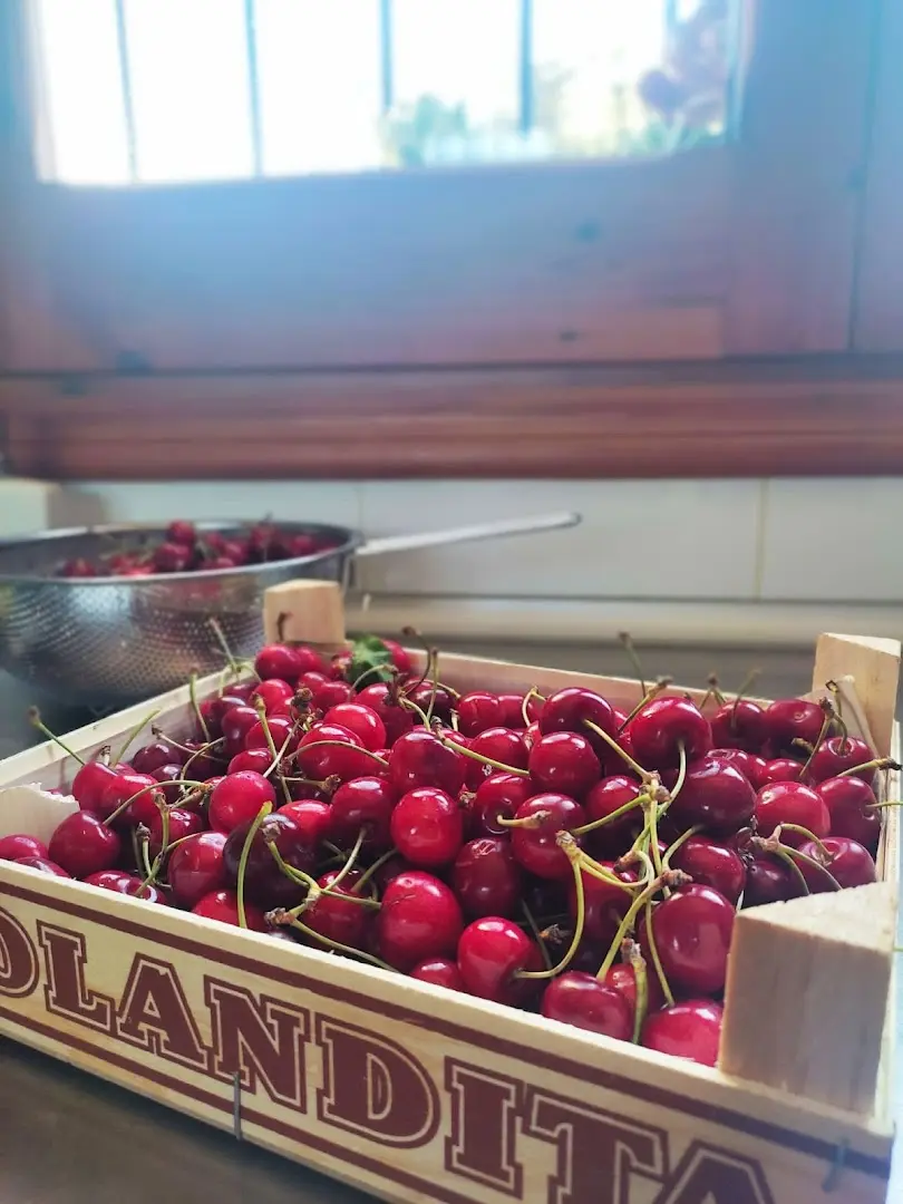 Ruralco Coliving photo