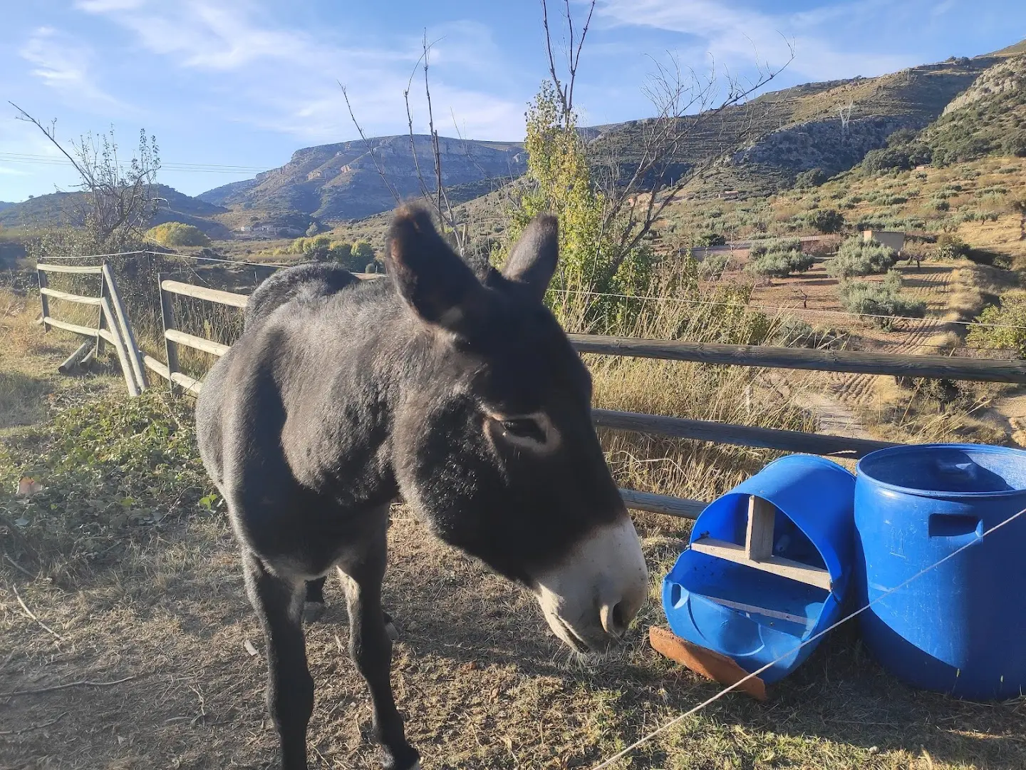 Ruralco Coliving photo