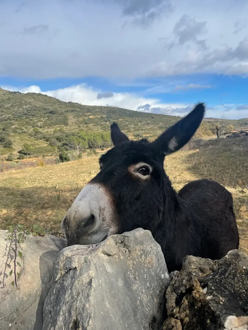Ruralco Coliving photo