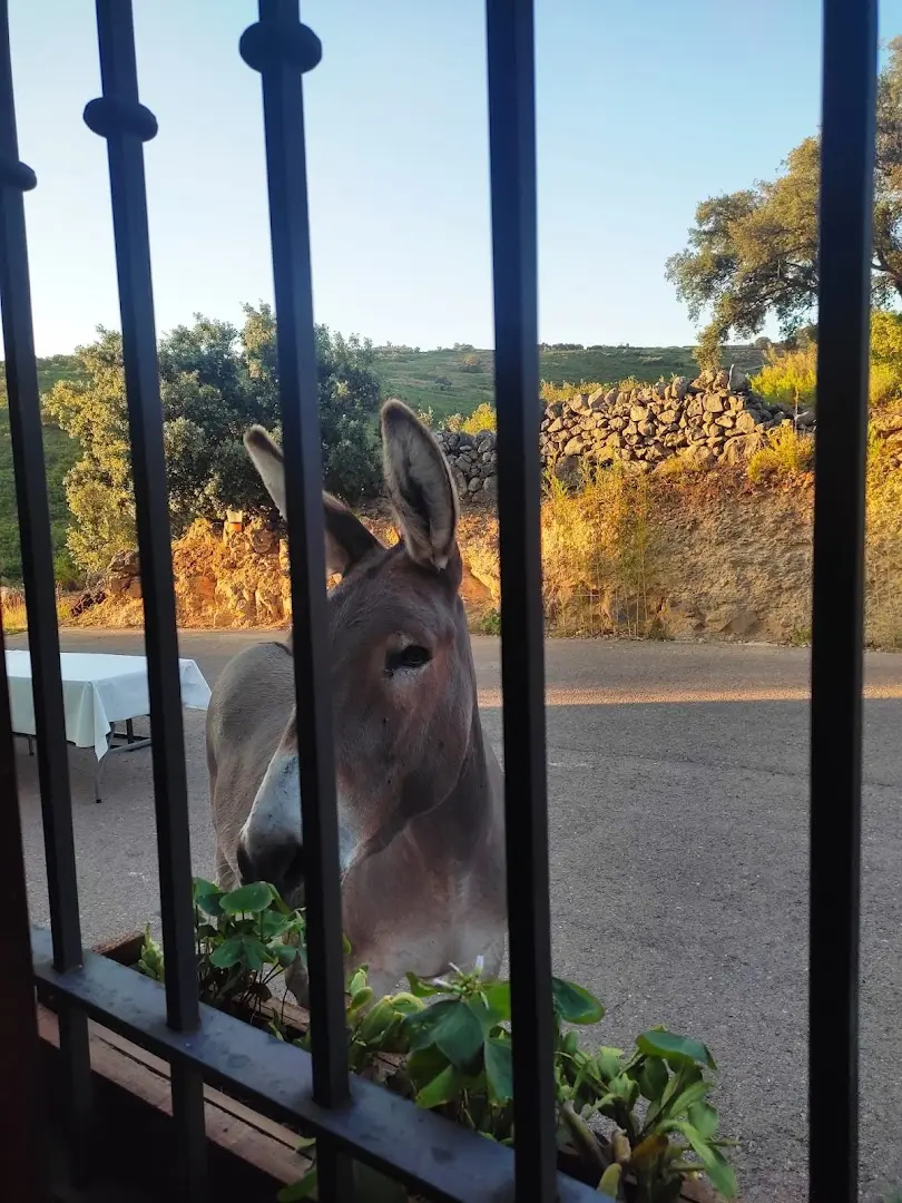 Ruralco Coliving photo