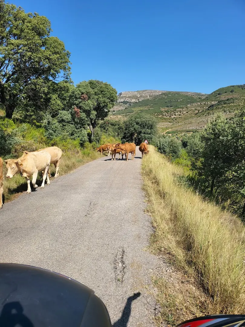 Ruralco Coliving photo
