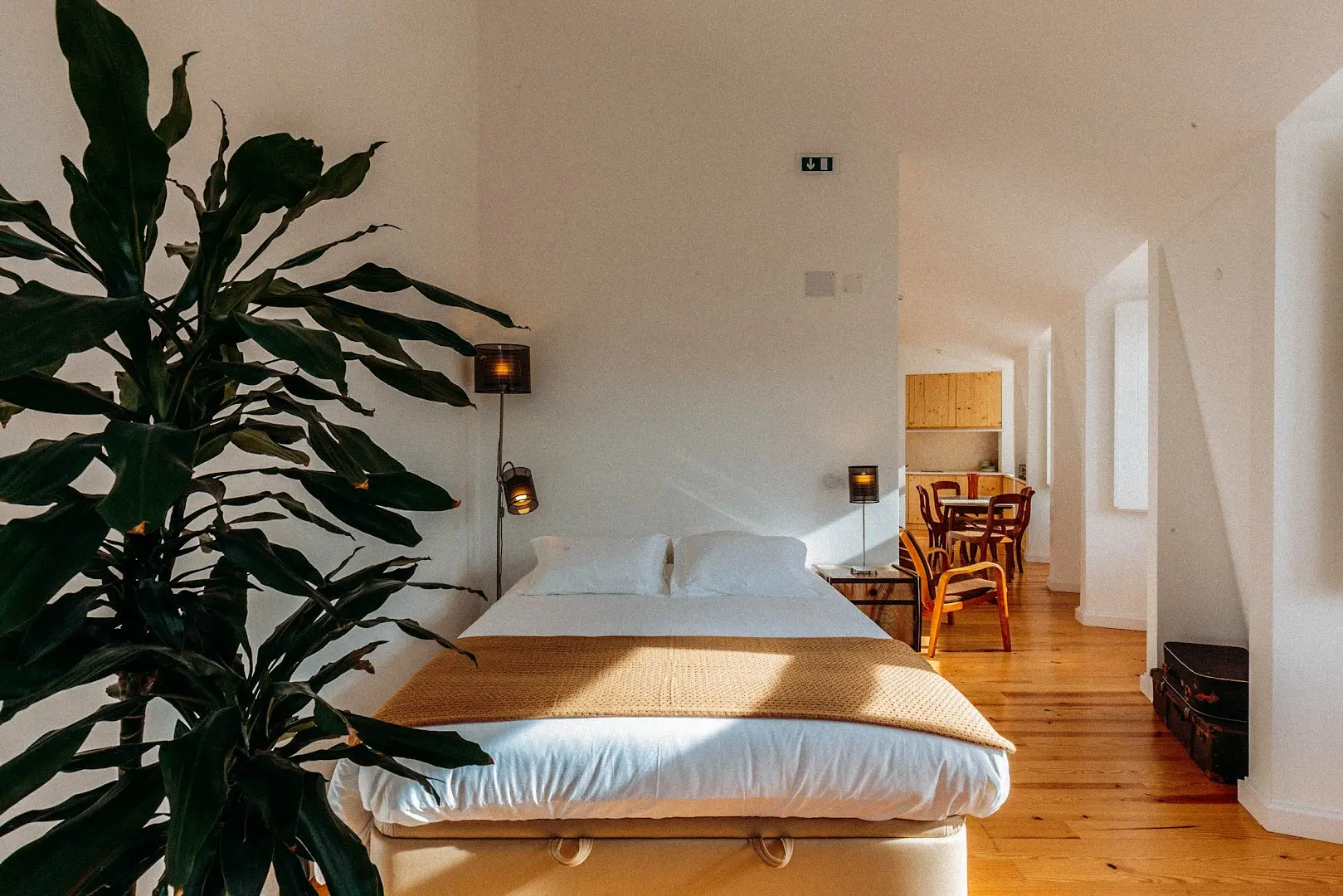 samesame co-living photo