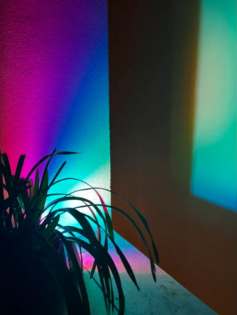samesame co-living photo