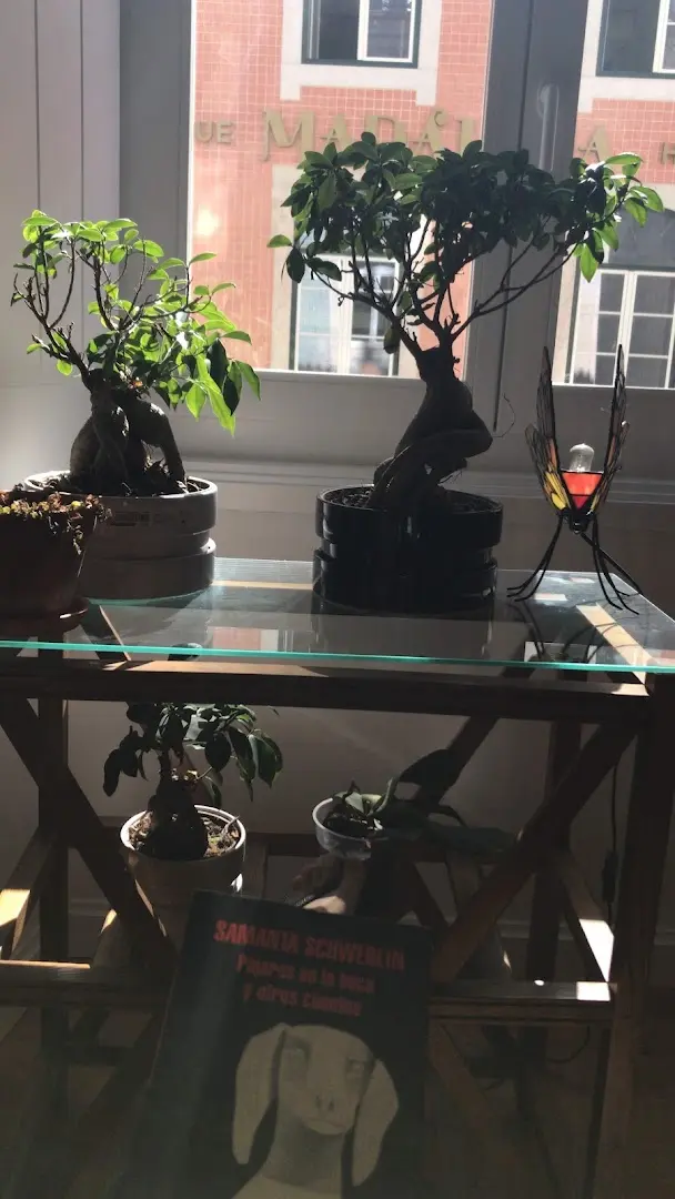 samesame co-living photo
