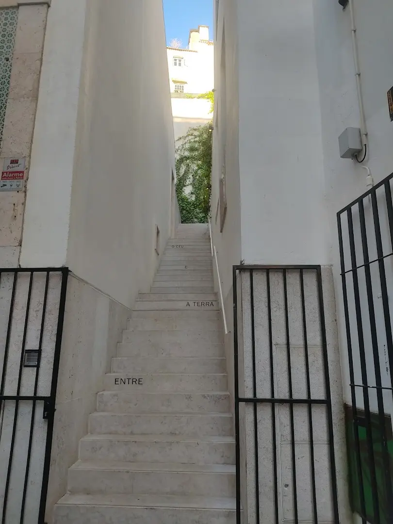samesame co-living photo