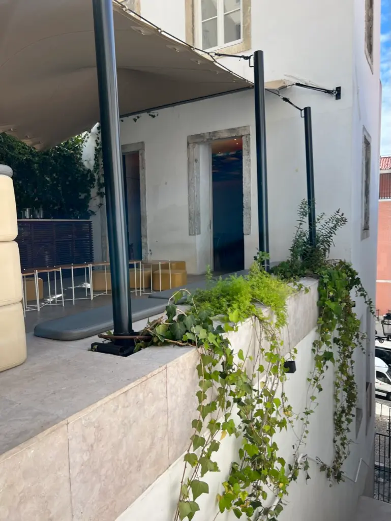 samesame co-living photo