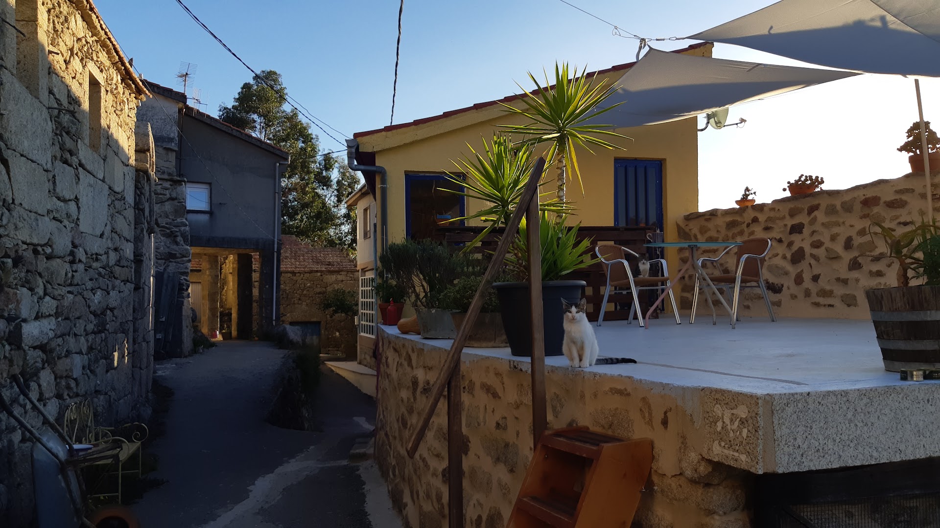 sende senderiz coliving photo