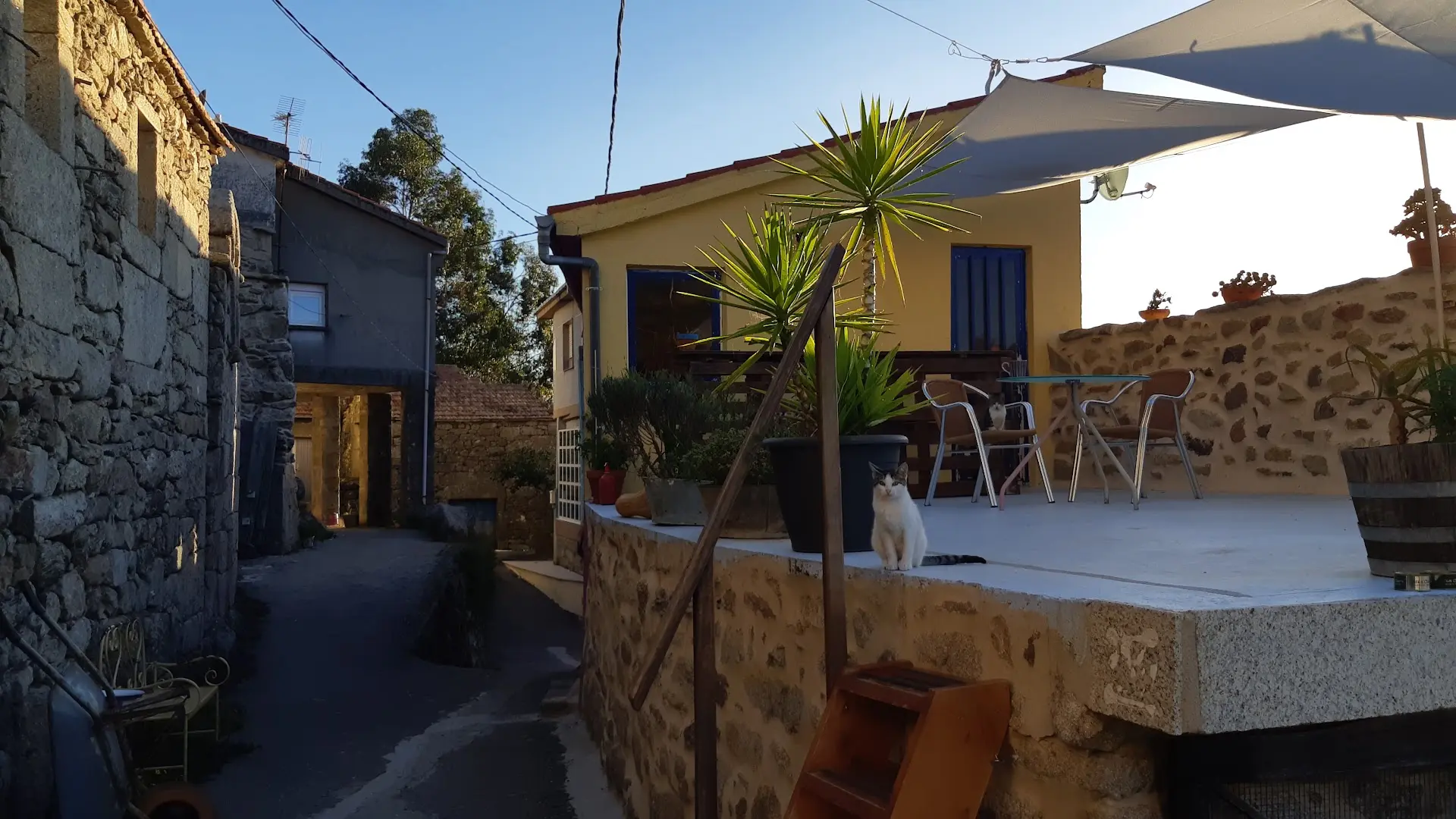sende senderiz coliving photo