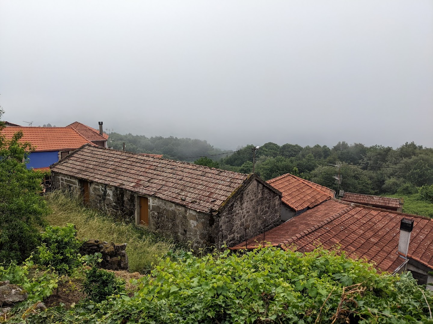 sende senderiz coliving photo