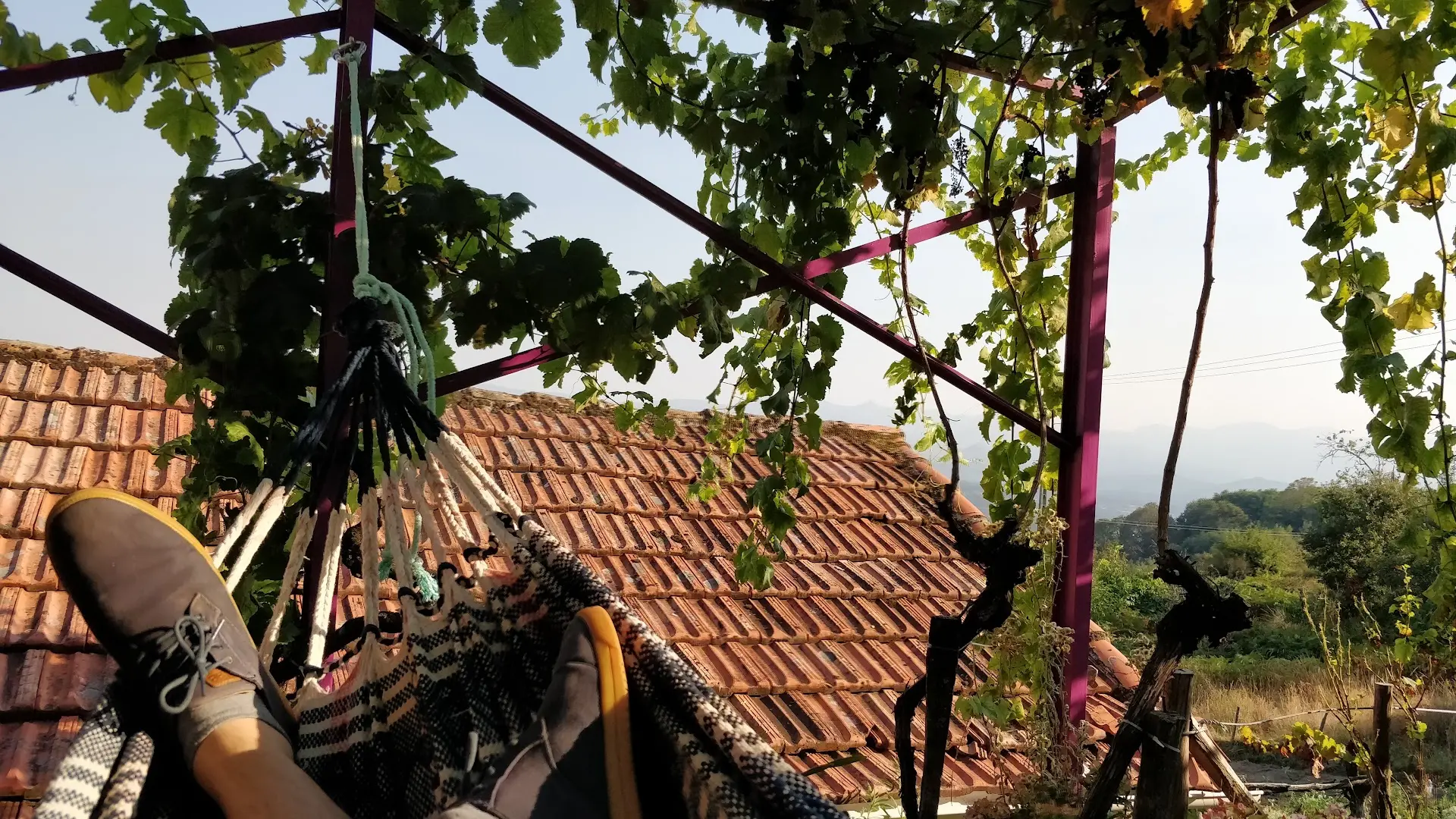 sende senderiz coliving photo