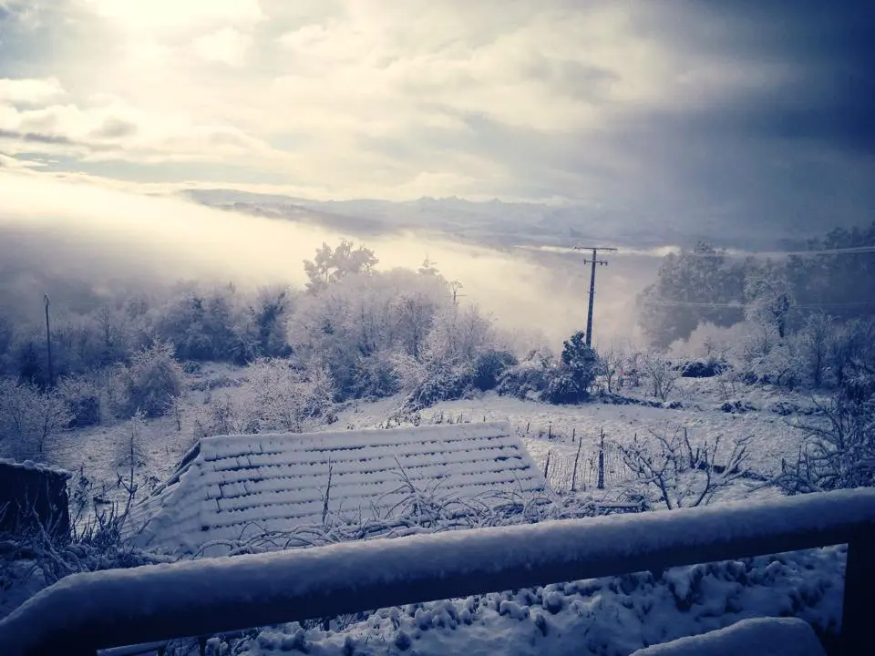 sende senderiz coliving photo