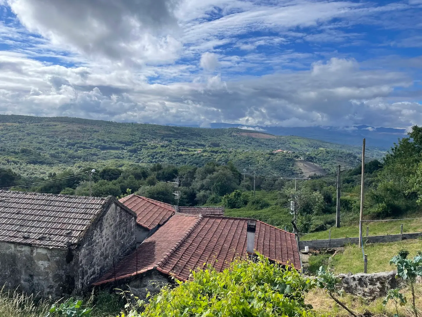 sende senderiz coliving photo