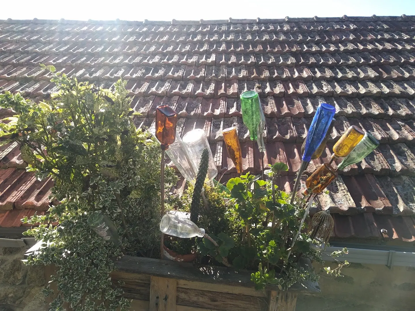 sende senderiz coliving photo