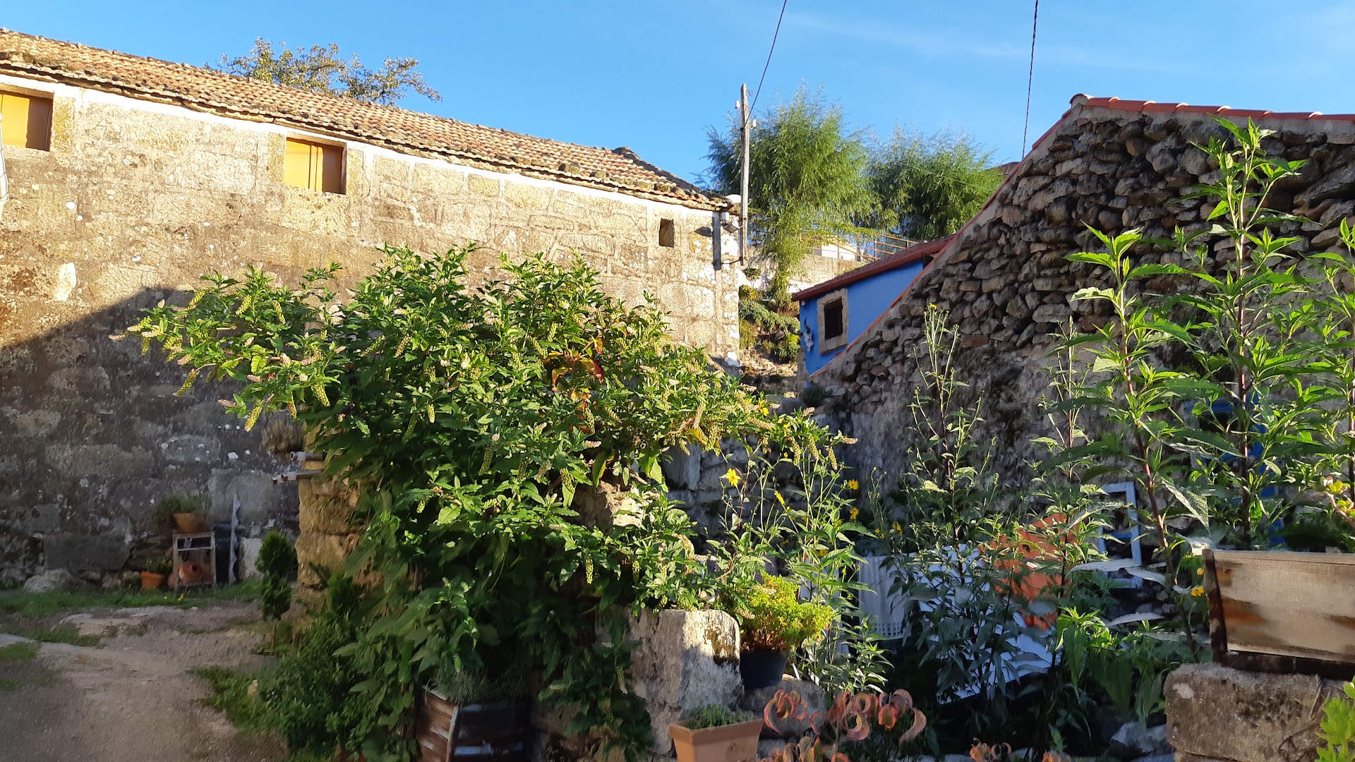 sende senderiz coliving photo