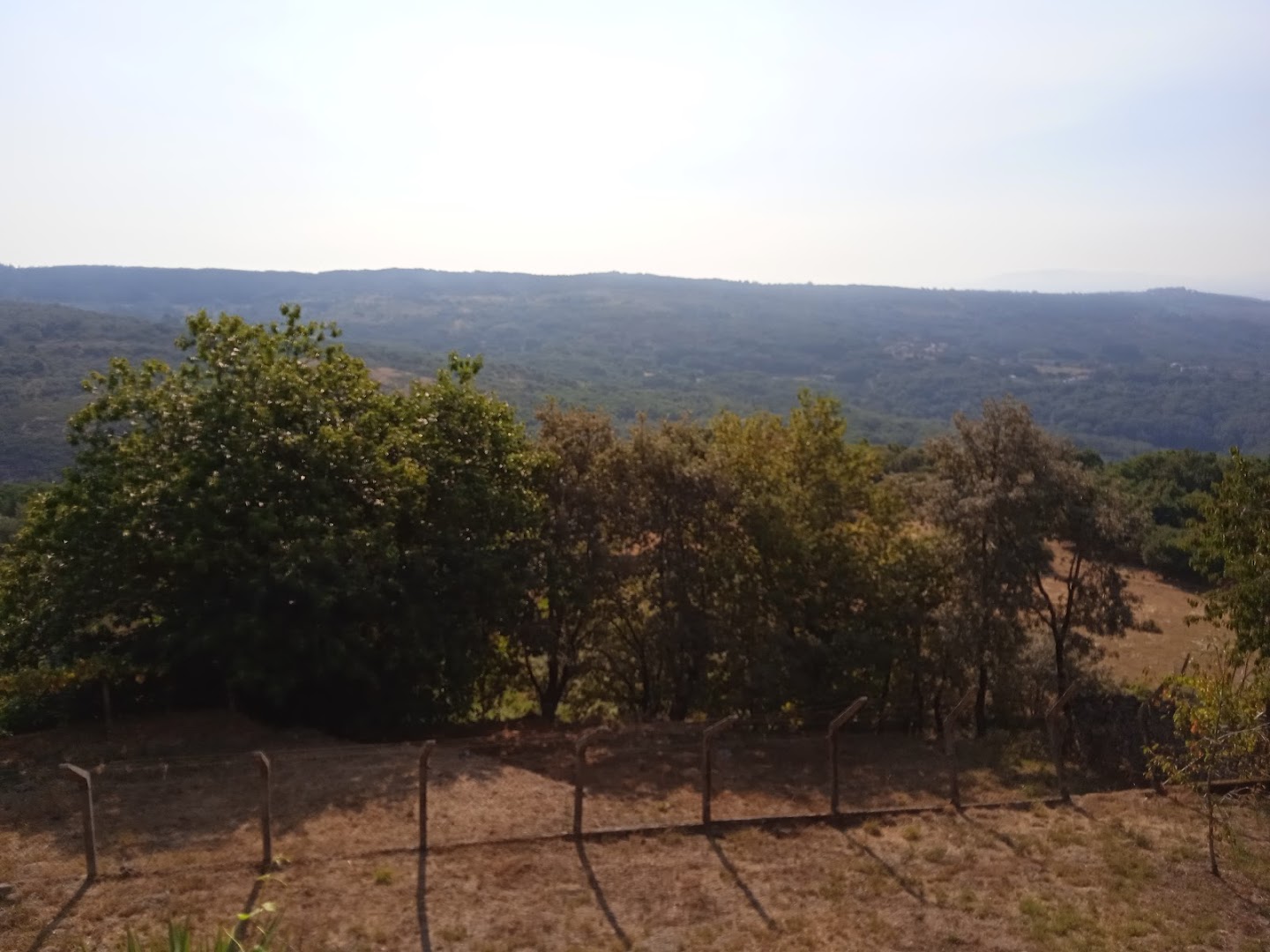 sende senderiz coliving photo