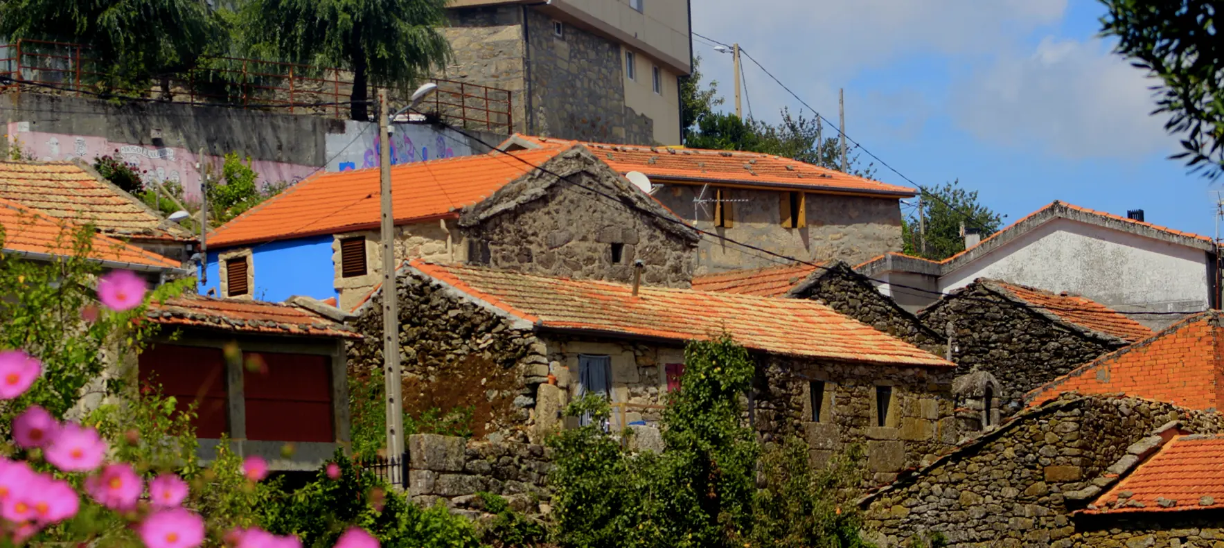 sende senderiz coliving photo