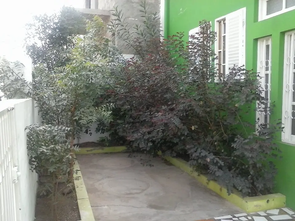 Simabo's Backpackers' Hostel photo 7