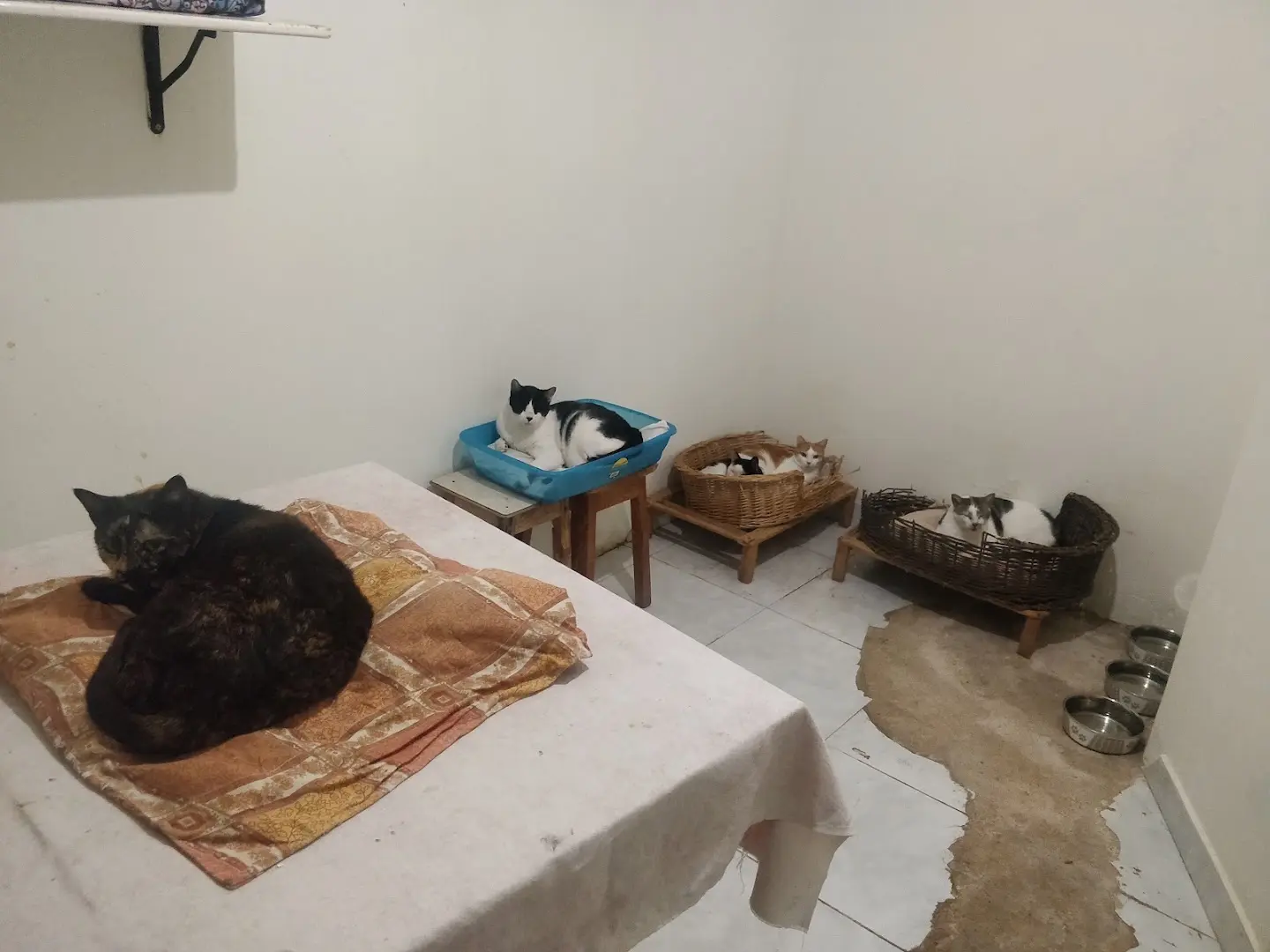 Simabo's Backpackers' Hostel photo 28