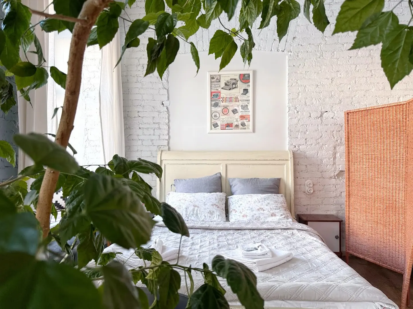 Soul Kitchen Hostel photo
