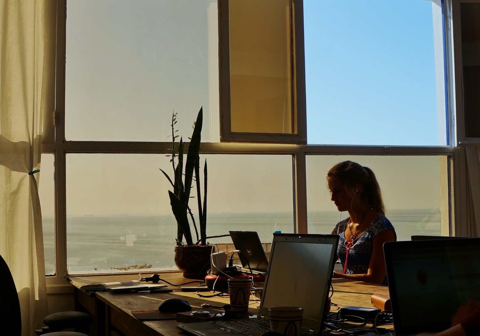 SunDesk Coworking photo