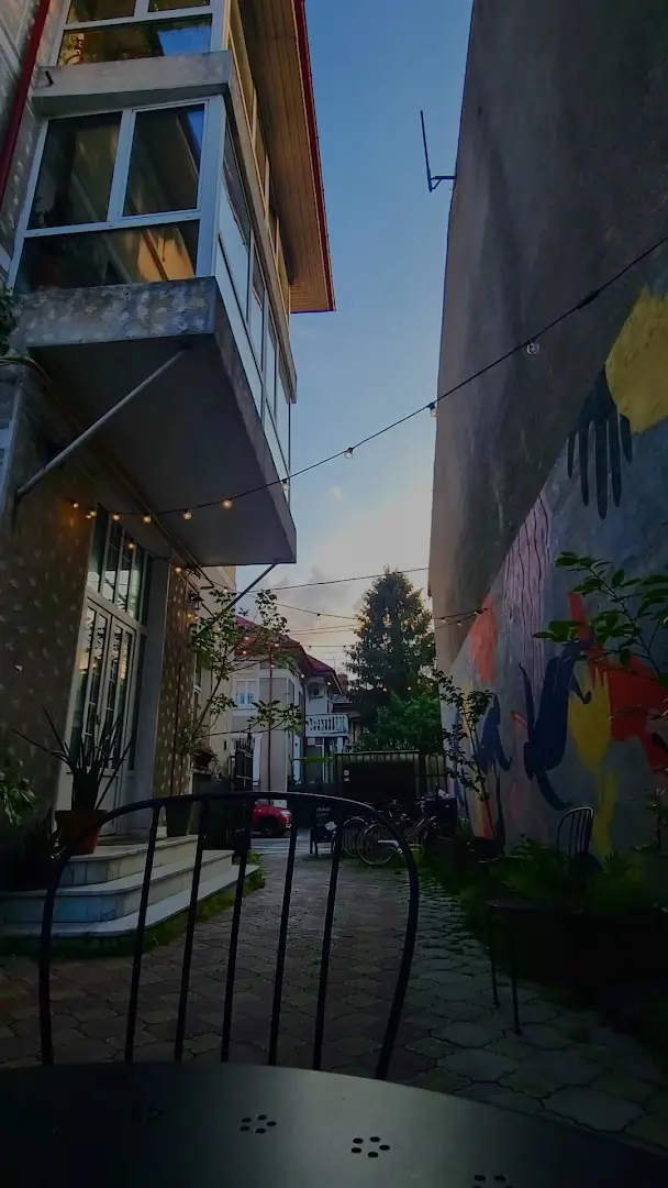 Vine 21 Bucharest photo 10