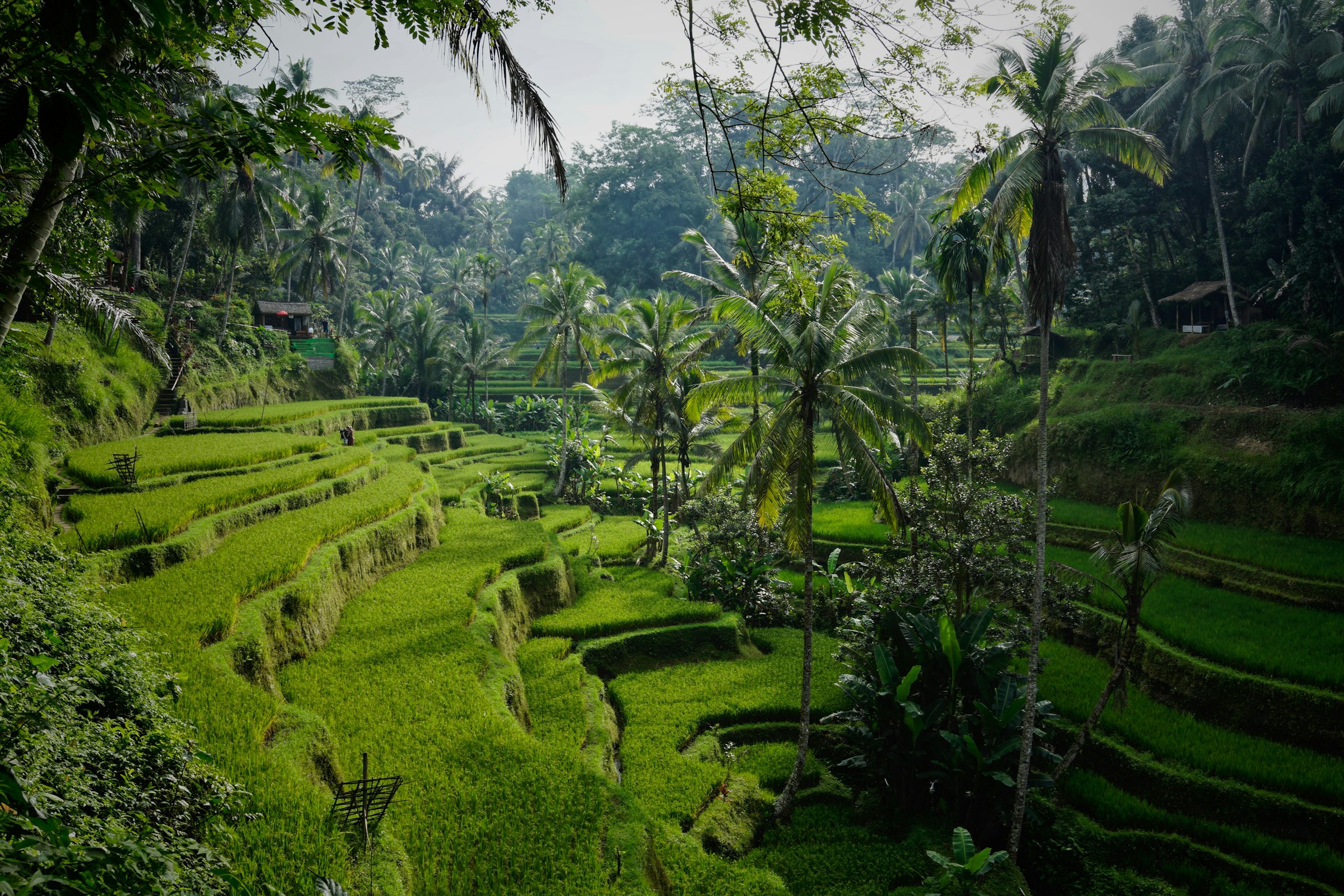 Scenic view of Singaraja, Indonesia