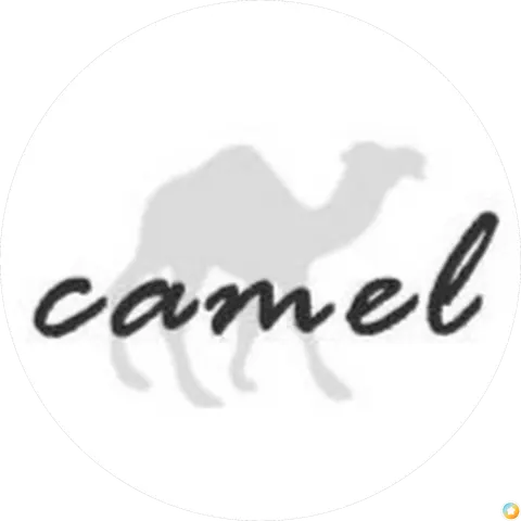 Camel Chang