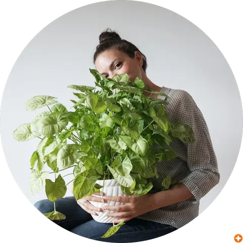 Dr. Livinghome · Diy decoración