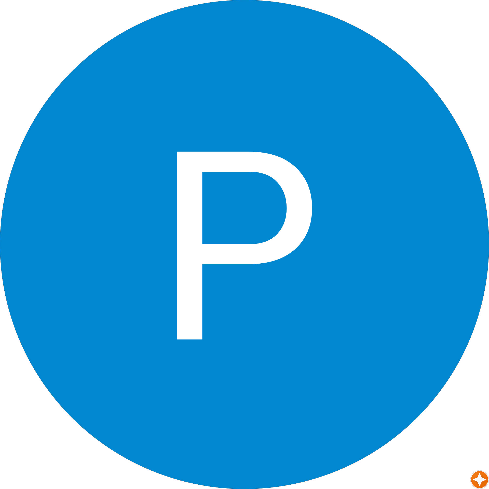 Pravin S