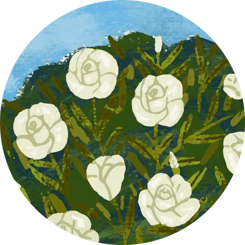 Aderaw Lopez-Grado Keldenich