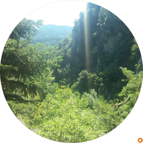 panos bak