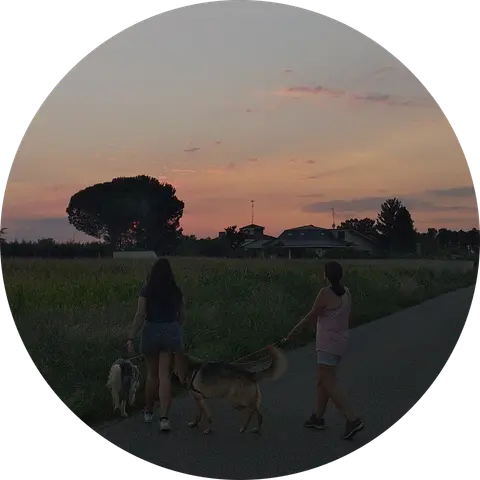 Silvia Fajardo Pérez