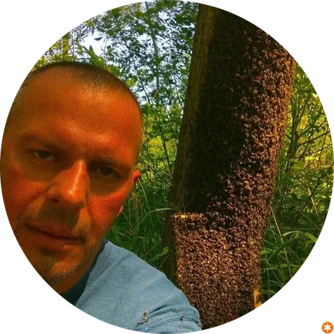 slavisa zeljko